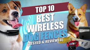 *script* years ago when i was living in eastern washington i was looking for a cost. Top 10 Best Wireless Dog Fence Systems Tested And Reviewed Youtube
