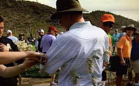 Member level 01 blank slate. Rory Mcilroy Hits Ball In Desert Knocks Man Into Cactus Cbssports Com