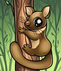 How To Draw A Brushtail Possum Step By Step Drawing Guide By Dawn Dragoart Com So, … do you prefer possum or opossum?'' how to draw a brushtail possum step by