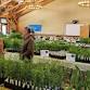Aullwood Audubon Native Plant Sale