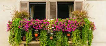 How To Prepare Your Apartment Garden For Summer In Dubai Mybayut