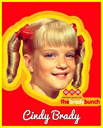 TheBrady Bunch