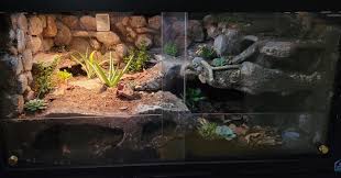 Image result for Terrarium Cling Background