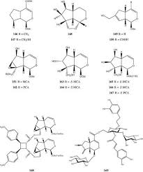 Image result for Premna schimperi