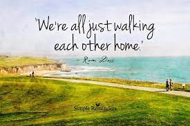 Pagespublic figureactorsarah cartervideoswe're all just walking each other home. Deb Scott Ba Cpc Realtor On Twitter Simple Reminders Cool Words Ram Dass