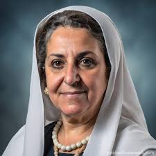 fiola amherd Prompts