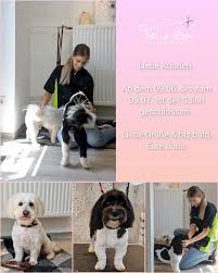 Hundefriseur Fellness - Fell in Love