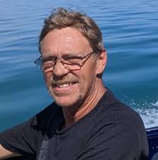 What kind of bird is seen in my yard in Michigan?