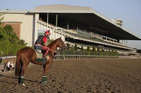 predicteforms analysis of the belmont stakes the daily