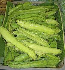 Image result for Asparagus petersianus