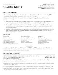 Looking for that spark to writeyour own resume? 10 Professional Resume Templates Downloadable Cv Templates