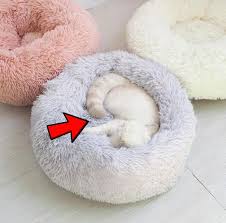 Heavenly soft cat bed purrfect for sleeping due to popular demand some colors & sizes are already sold out and out of stock. The Marshmallow Is Possibly The Best Cat Bed Ever