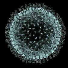Pin On Electron Microscope