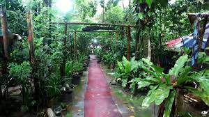Download isi rimbah mp3 dan video streaming kumpulan lagu isi rimbah terbaru di mp3ampuh dengan format mp3 dan video isi rimbah full album download lagu. Forest Tones At Kem Isi Rimba Kemensah Youtube
