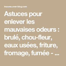 Astuces Pour Enlever Les Mauvaises Odeurs Brule Chou Fleur Eaux Usees Friture Fromage Fumee Mauvaise Odeur Odeur Friture