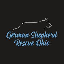 Akc german shepherd puppies $1,800.00 impressive, stocky litter of akc german shepherd puppies. German Shepherd Rescue Ohio Home Facebook