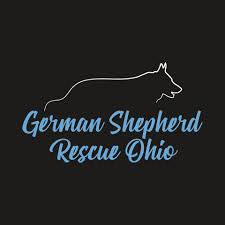 The entire process can take up to an hour. Ohio Dogs Puppies For Adoption Home Facebook
