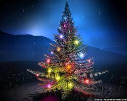 Christmas, christian festival celebrating the birth of jesus. Christmas Tree At Night Wallpaper 1280x1024 26297