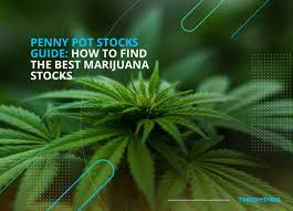 Marijuana Penny Stocks Guide Finding The Best Pot Stocks