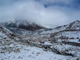 We did not find results for: Yumthang Valley Guide A Jack And Master Of All Seasons