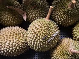 Ia juga meletakkan malaysia setaraf dengan negara lain dalam inisiatif kerajaan digital. Hz 1zwk1mfuzlm