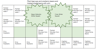 We did not find results for: My Bay Area Garden Three Sisters By The Square Foot