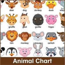 animal chart by donald s english classroom teachers pay teachers phonics flashcards animal flashcards english classroom