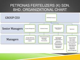 The paper aims to recognize the relationship between risk and profit in the company petroliam nasional berhad (petronas). Management Functions All About Petronas
