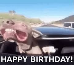  Pin By Richard Finnila On Gift Ideas For Friends Happy Birthday Dog Birthday Dog Gif Happy Birthday Dog Gif