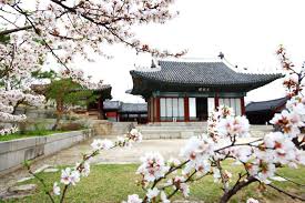 Negara terindah di asia selanjutnya adalah korea selatan. Rugi Kalau Tak Singgah Ke 9 Lokasi Musim Bunga Terbaik Di Korea Ini Rileklah Com