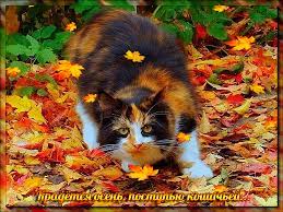 Крадется осень ⋆ Открытки анимация