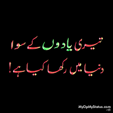 Urdu Hindi In 2020 Urdu Poetry Romantic Life Quotes Urdu
