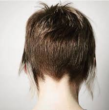 White Bird With Spiky Hair Pin On What Inspires Me