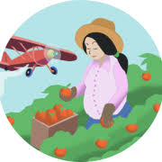 Hormonal methods of birth control are considered safe for most people. Pregnancy Pesticides Association Of Farmworker Opportunity Programs