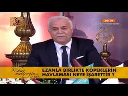 Ezanla Birlikte Kopeklerin Havlamasi Neye Isarettir Youtube