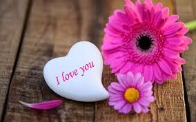 Hd Wallpapers أحدث صور خلفيات جميلة جدا للكمبيوتر Tecnologis Cute Love Wallpapers Beautiful Love Images Love You Images