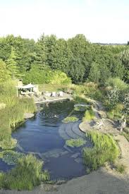 Knitting Bordado Pond Landscaping Natural Swimming Ponds Natural Pool