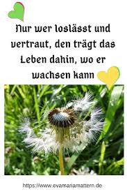 Pusteblume Spruche Garten Spruche Natur Gedichte Und Spruche