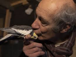 New leadership coming to Amherst elementary schools next fall