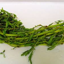 Information provided about daun ( daun ): Selom Sayur In The City