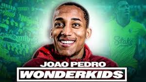 Every Joao Pedro Goal In 2023! 🇧🇷