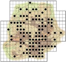 Image result for Grewia monticola