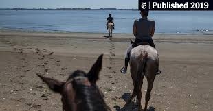 3 #2 of 2 outdoor activities in colorado city. Horseback Riding On The Beach In Brooklyn Seriously The New York Times