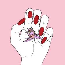 Download stoner wallpaper for free, use for mobile and desktop. Asthetische Stoner Wallpaper Iphone Mani Wallpaper 540x540 Wallpapertip