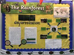 Rainforest And Deforestation Display With Pupil Work And Assessment Objectives Identified Biomes Deforestation Rainforest