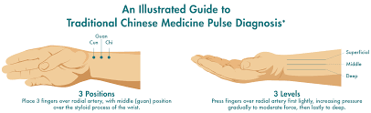 Pulse Power Understanding Pulses In Chinese Medicine