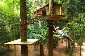 Zip Line From My Awesome Treehouse Simple Tree House Tree House Plans Tree House Kids