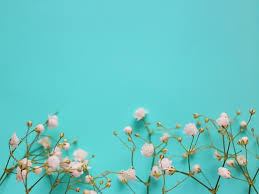 Plant these gorgeous green flowers—annuals, perennials, and flowering shrubs—in your garden. Premium Photo Small White Beautiful Flowers Flowers Gypsophila