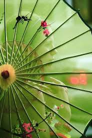 Sulla Porta Del Mio Cuore Avevo Scritto Non Oltrepassare Ma L Amore Giunse Ridendo E Gridando Io Passo Ov Shades Of Green Green Collection Pink And Green