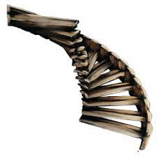 The ark item id and spawn command for behemoth gateway, along with its gfi code, blueprint path, and example commands. Wooden Staircase Id And Gfi Code Ark Item Ids Playark Today